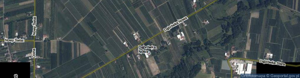 Zdjęcie satelitarne Dąbrówka Nowa ul.